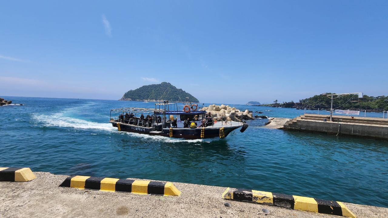 오늘의 보목상황