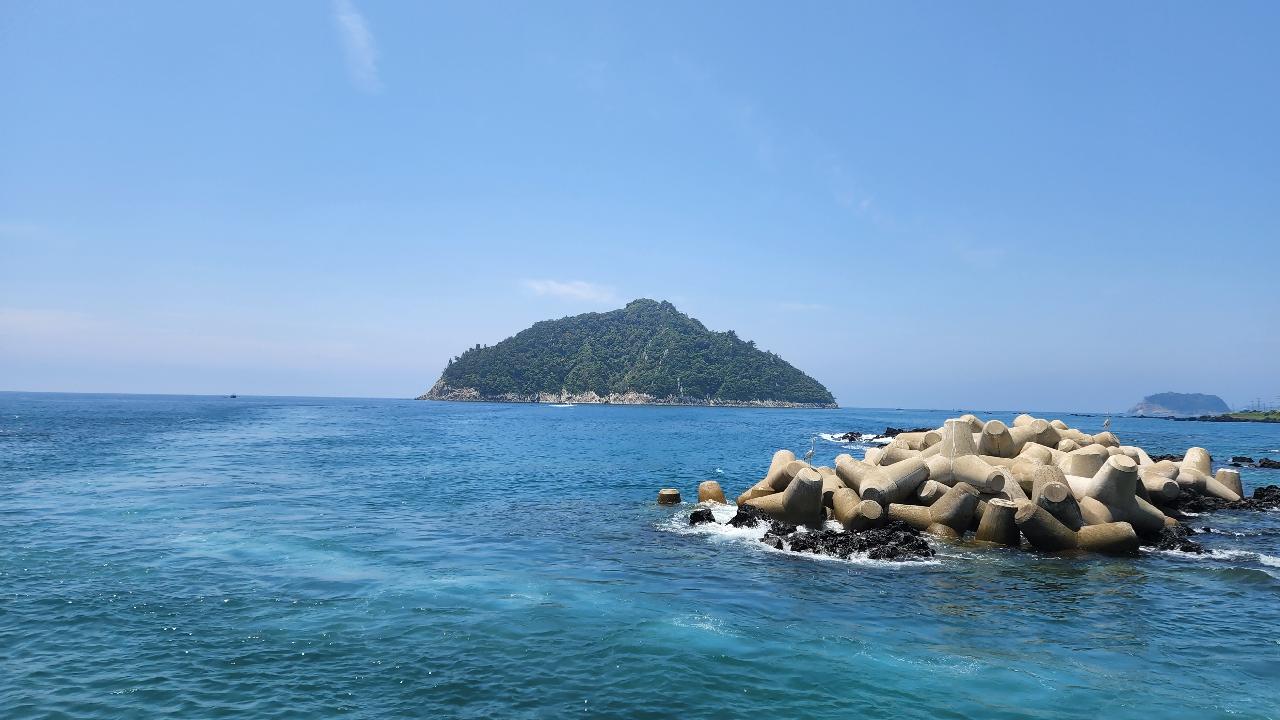 오늘의 보목상황