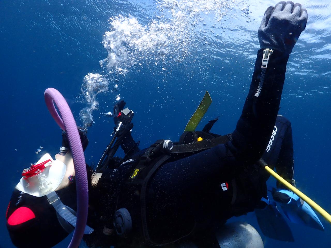 부유물 하나 없이 깨끗한 서귀포 섶섬 바다에서 다이빙 즐기기