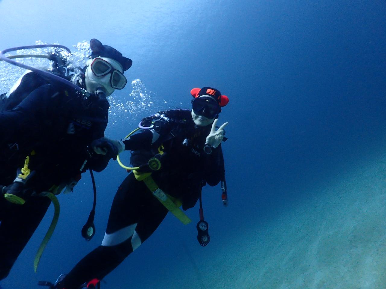 부유물 하나 없이 깨끗한 서귀포 섶섬 바다에서 다이빙 즐기기
