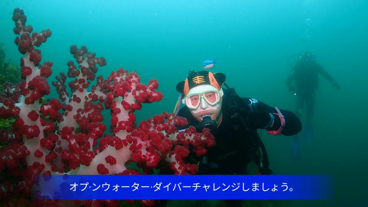 済州島(チェジュ島)の三銃士がオプン・ウォーター・ダイバーにチャレンジする。