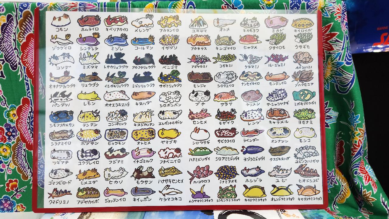 ソウルにあるKOEXのスキューバダイビング展覧会にきました。
