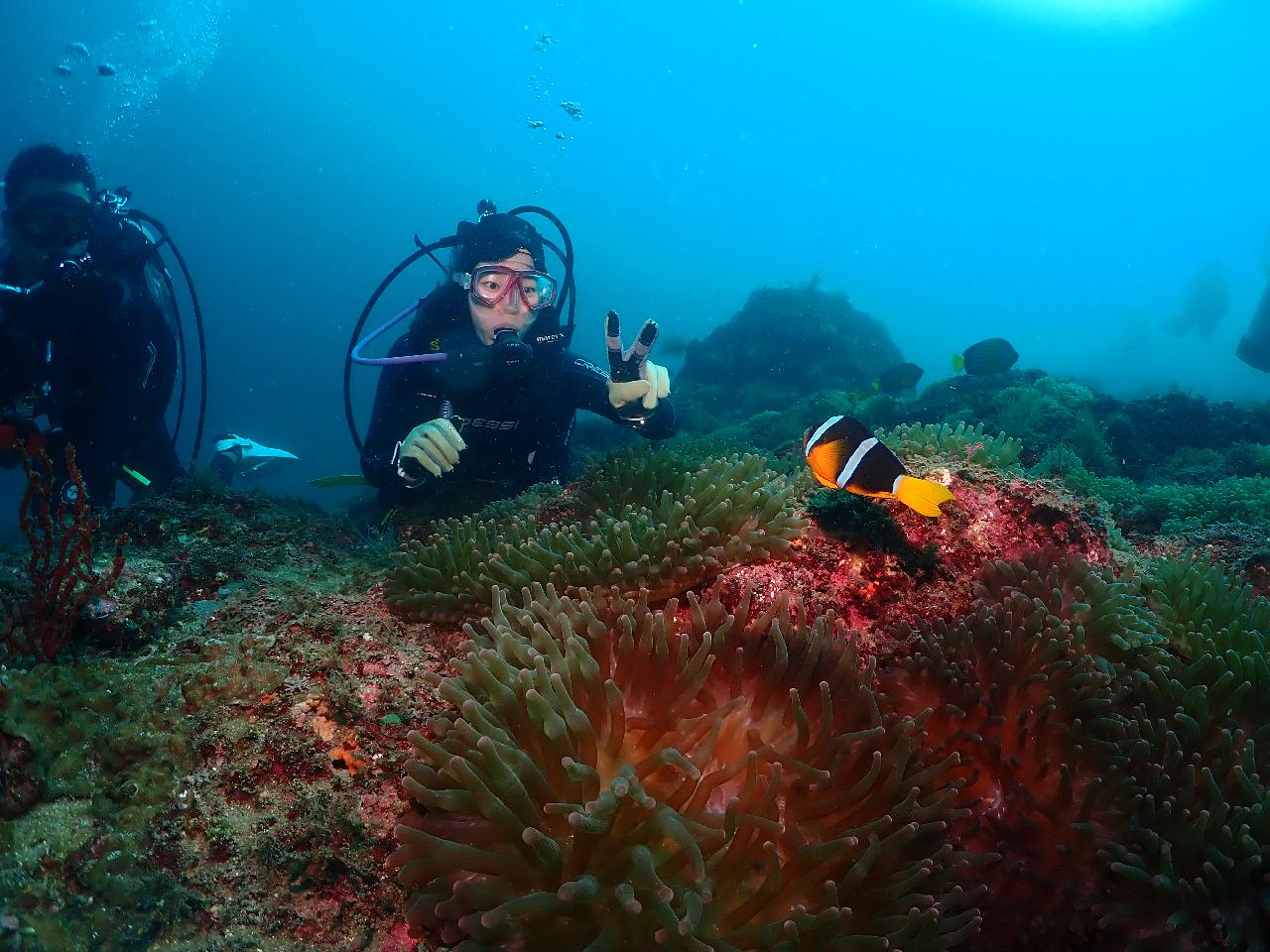 美しい済州島の海で一緒にダイビングをたのしみませんか。