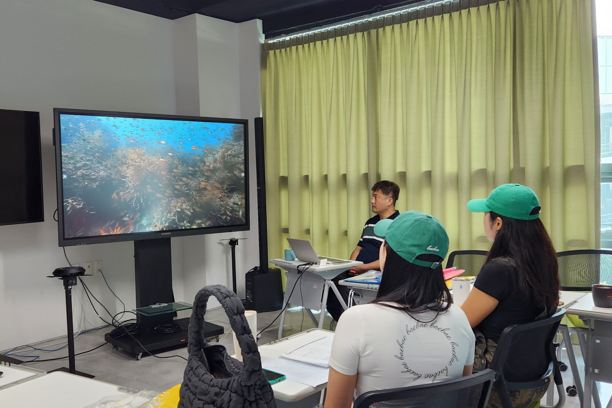 ダイビングいつやるの？今でしょ！ (済州島でダイビングC-Cardを取得しましょう！)