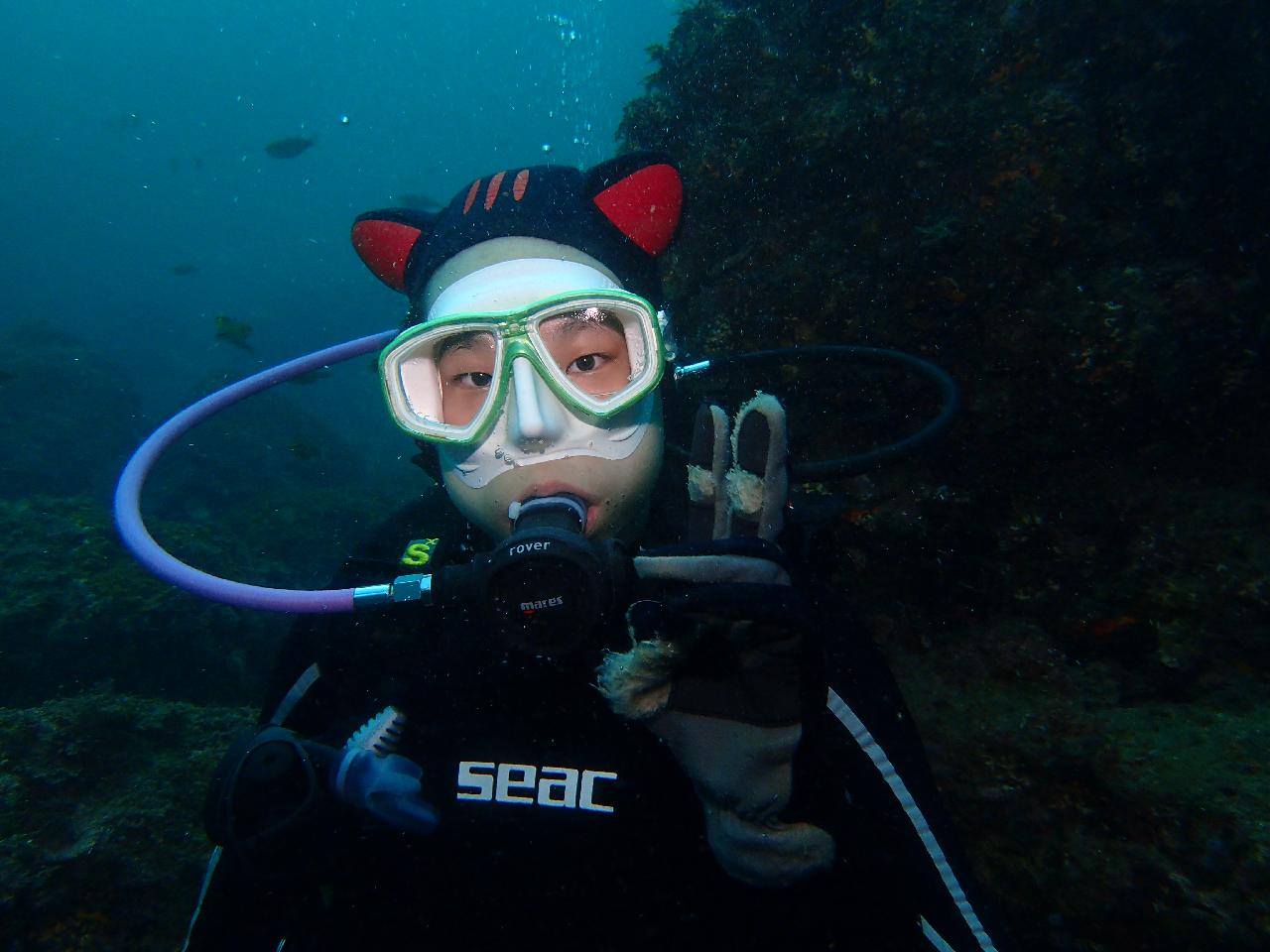 ダイビング小物（キャラクターフード、浮力人形）着用して、済州島でスキューバダイビング写真を撮りましょう。