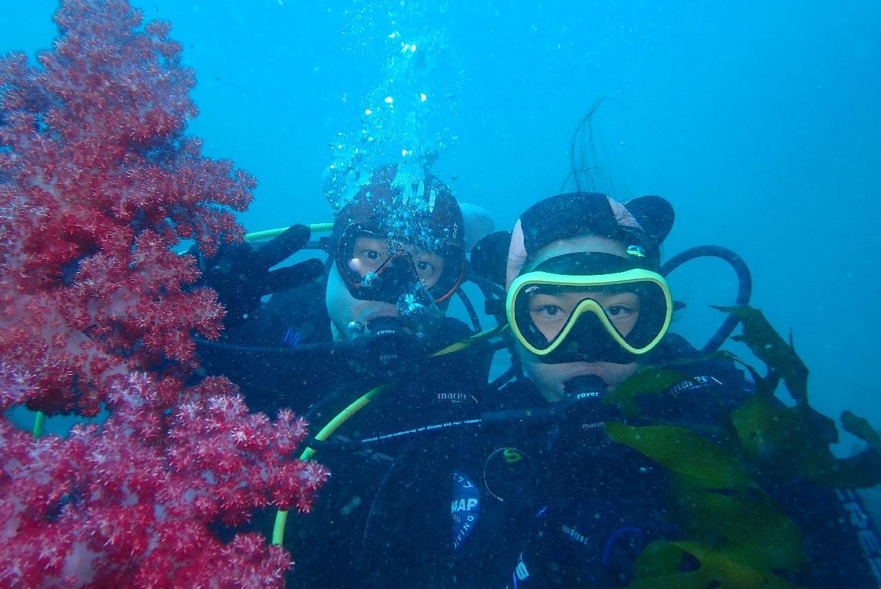 2024年 済州島（チェジュ島）で PADI オープン・ウォーター・ダイバー  Cカードを取得する