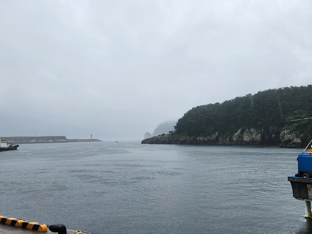 운 좋은 날이네요.