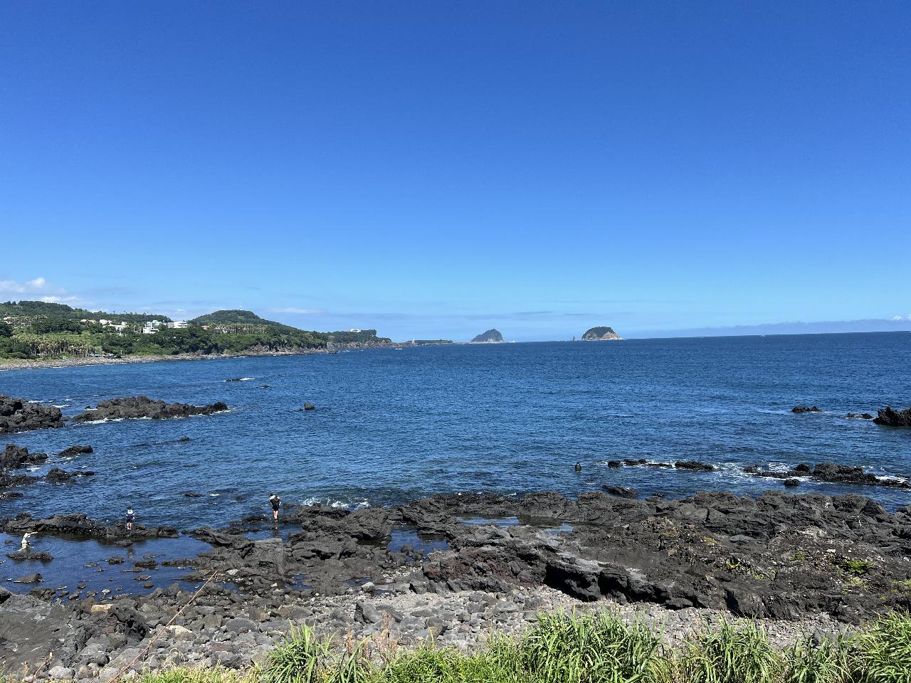 今済州島の天気は素晴らしいです。