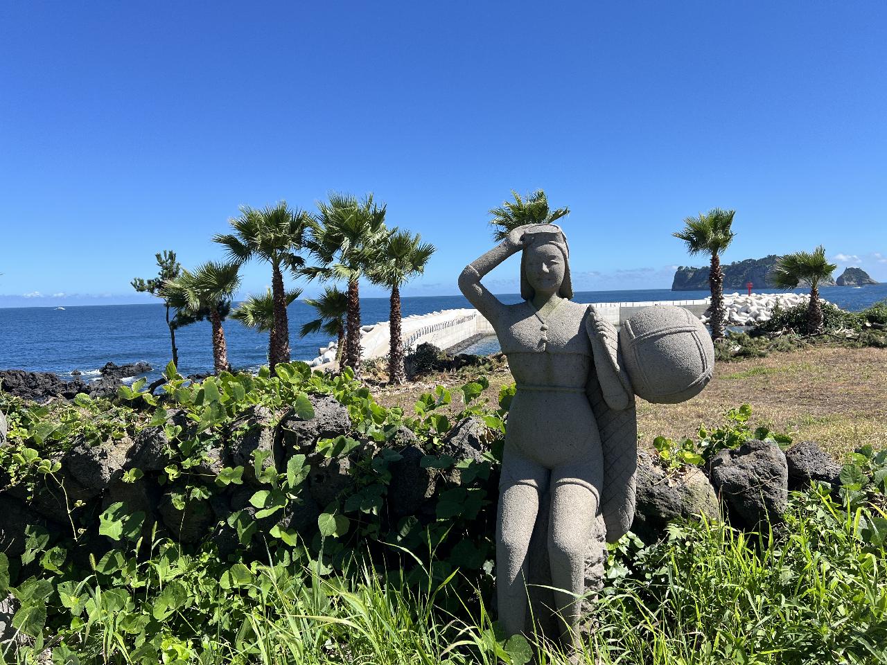 今済州島の天気は素晴らしいです。