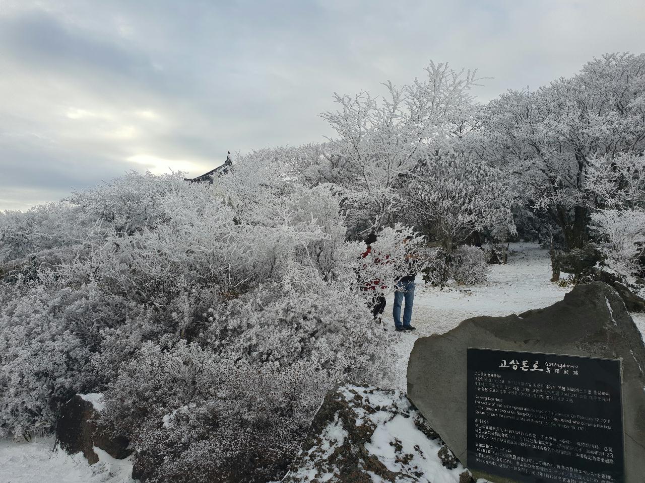 제주도 한라산의 눈꽃!!