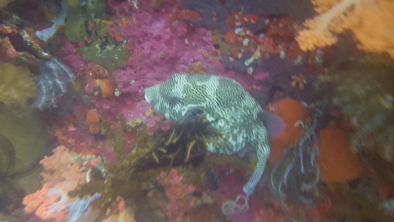 안다 비치 - Virgin west