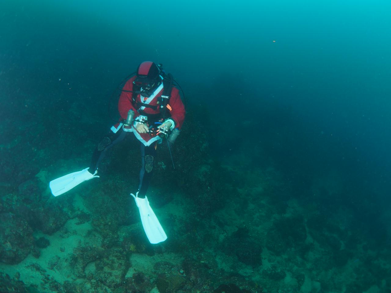 메리메리 크리스마스~ 겨울 바다속은 춥다는 생각은 노노