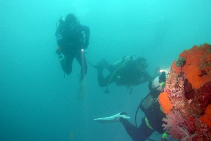 다이브맵 6주년 기념 다이빙 투어 왔는데 바다는 쉽게 허락하지 않는구려