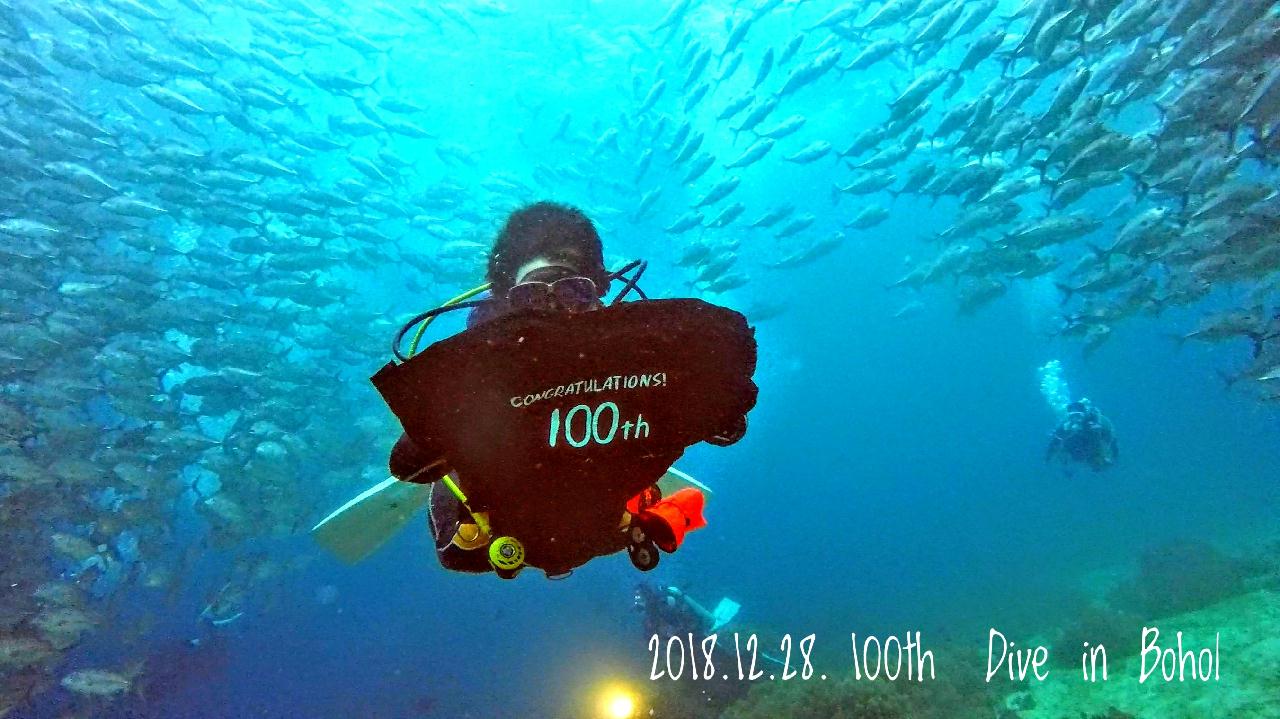 보홀 블루워터 다이브(Balicasag island - Black forest), 100로