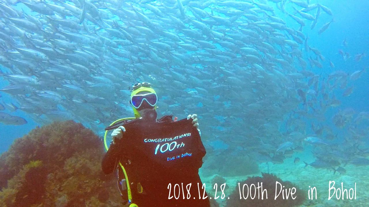 보홀 블루워터 다이브(Balicasag island - Diver