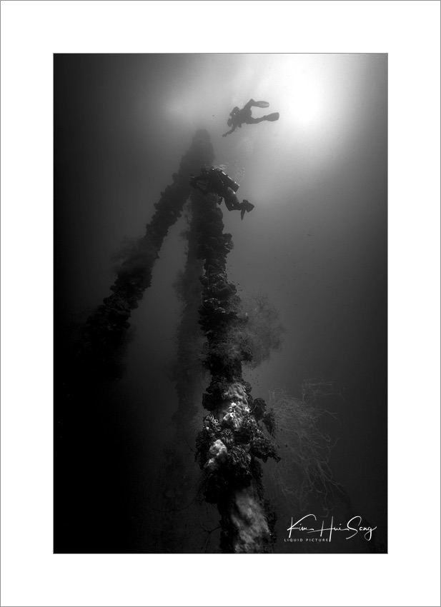 Koror, Palau(Iro Maru), 다이브번호 : 232 | 날짜 : 2018-12