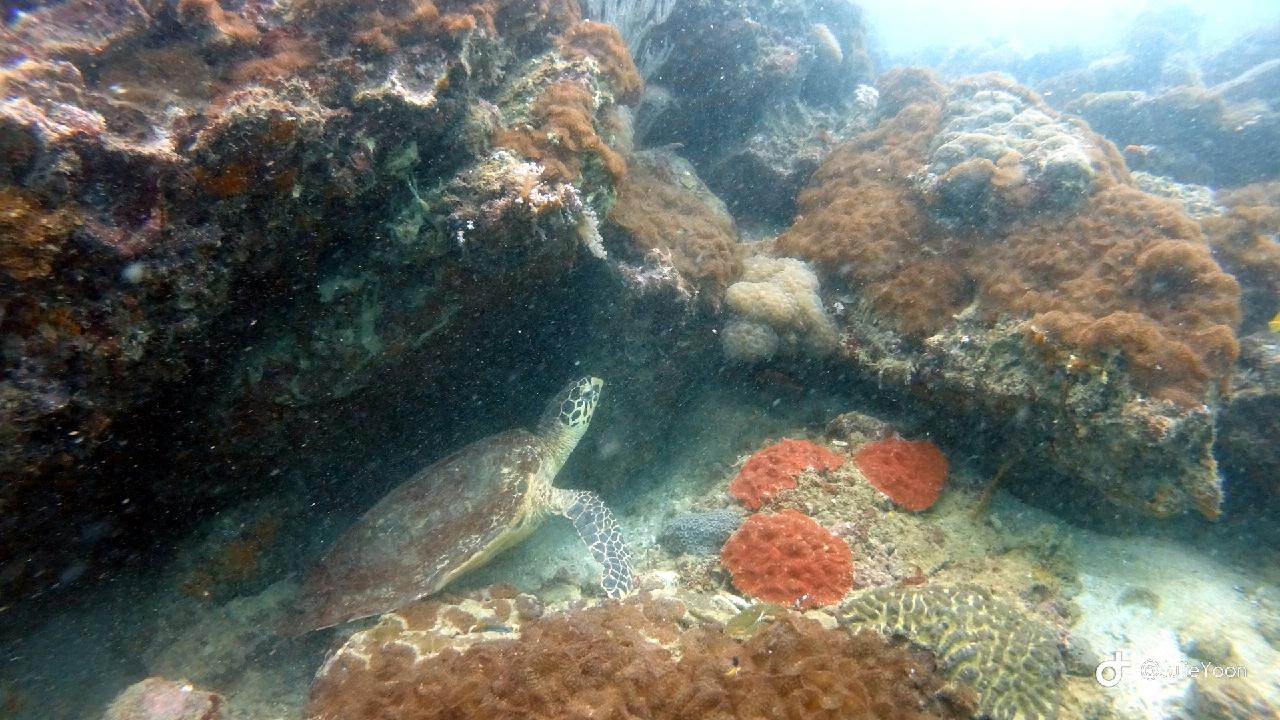 Phiphi island - Koh bida nok
