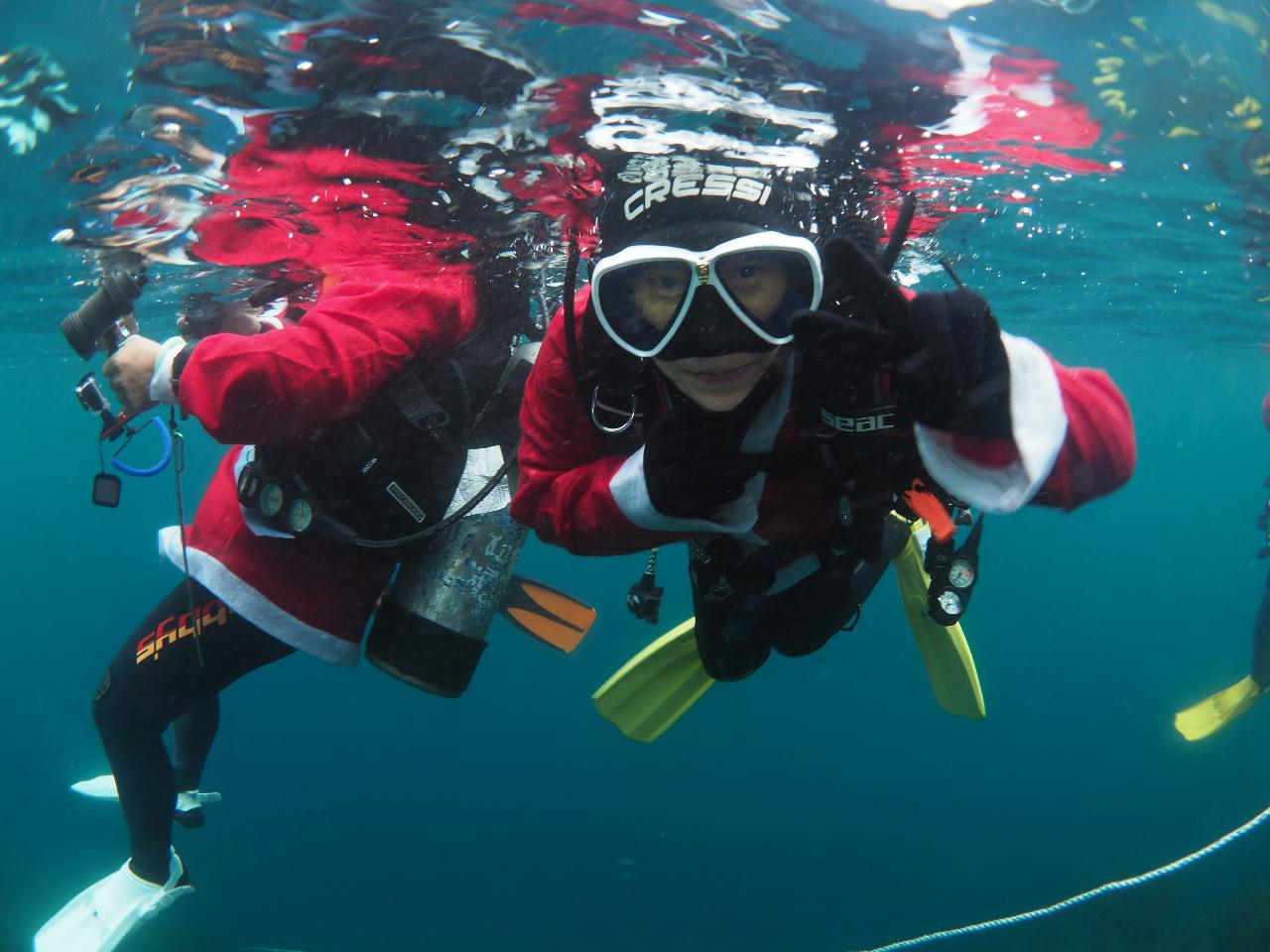 제주도 스쿠버 다이빙 투어
