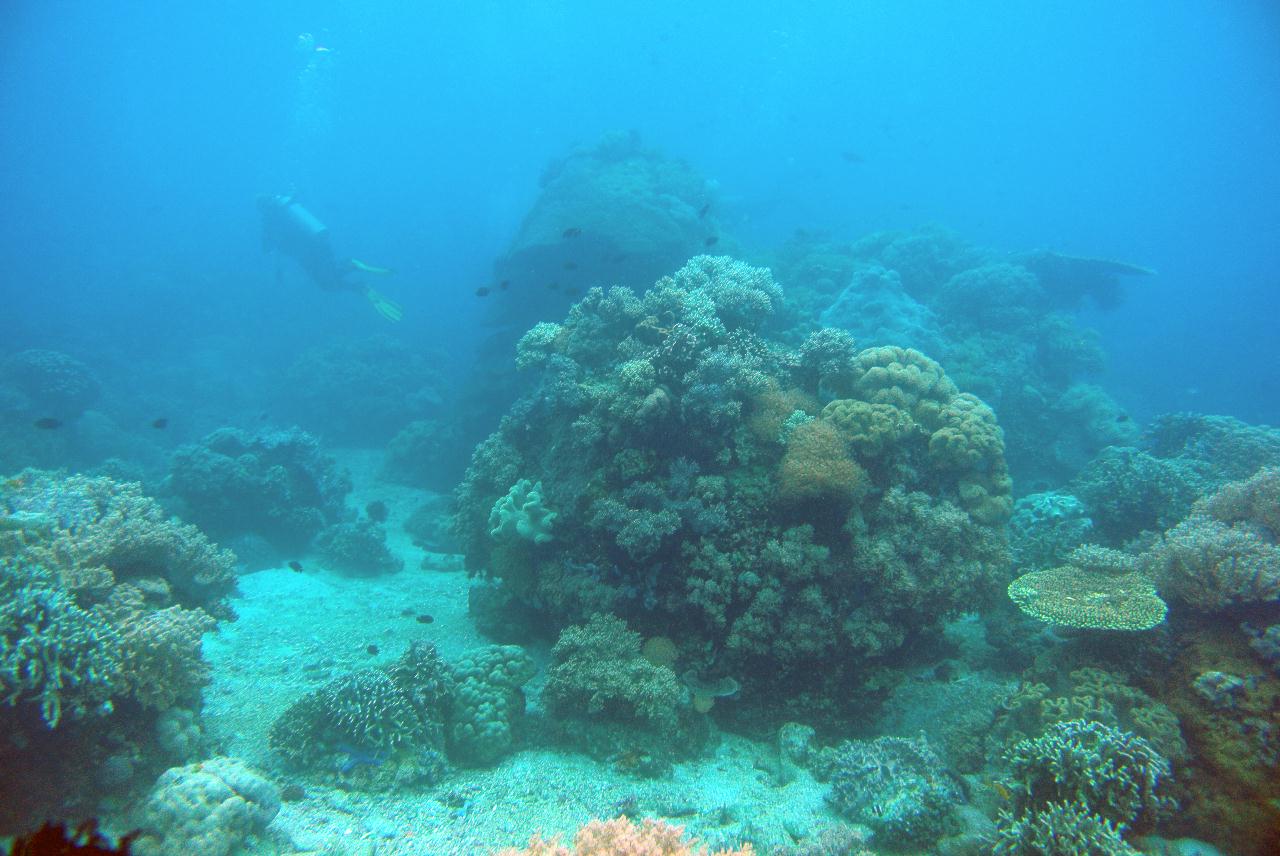 두마게티 스쿠버 다이빙 둘째날