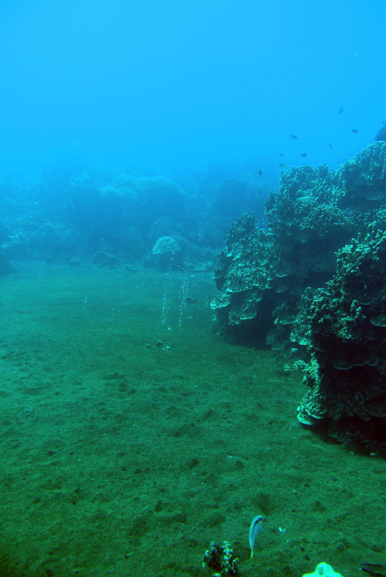 두마게티 스쿠버 다이빙 셋쨋날 3