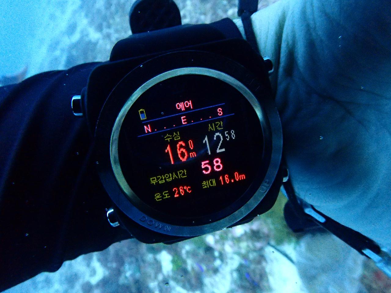 조류 무서워서 동쪽포인트 마야요로 고고