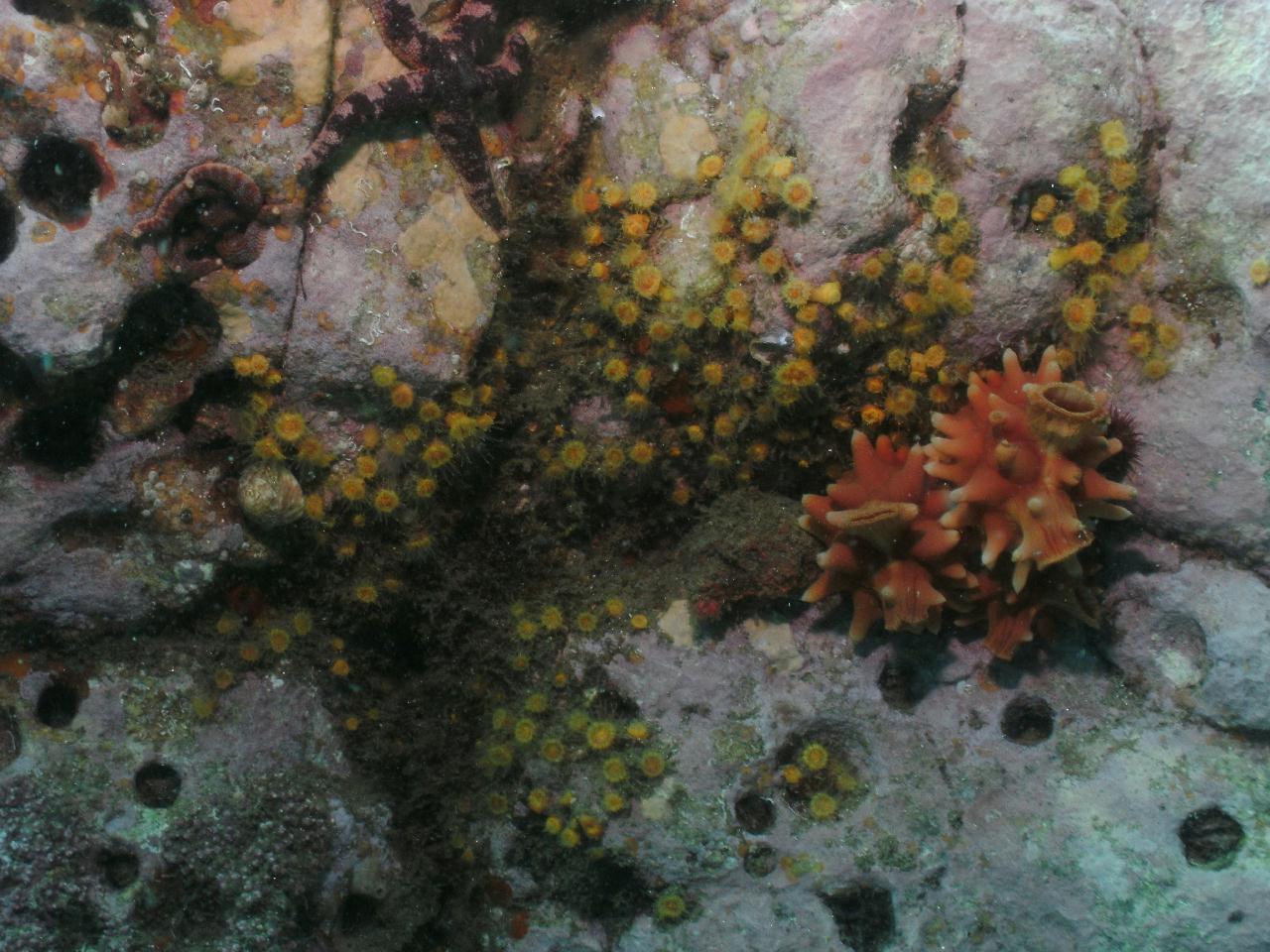 오픈워터 교육 다이빙