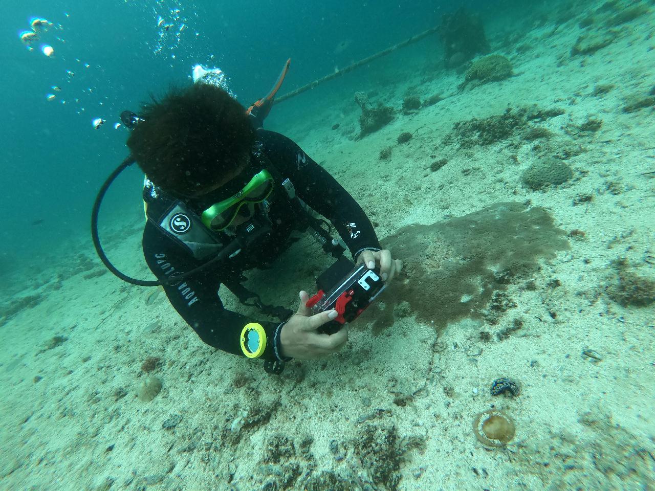 수중 촬용 교육