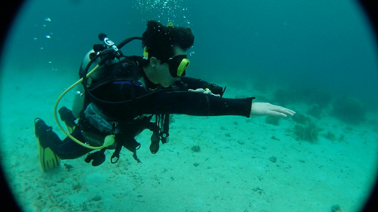 2018.02.02 Bohol#1-2