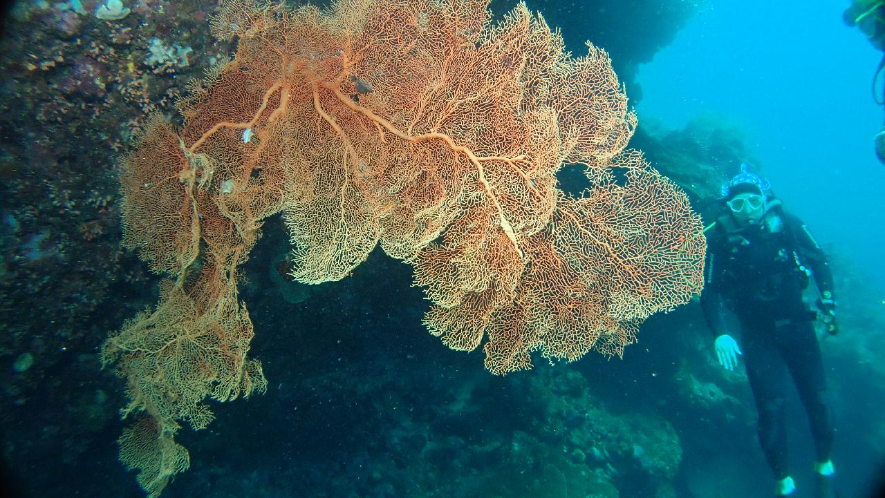 2018.02.03 Bohol#2-3