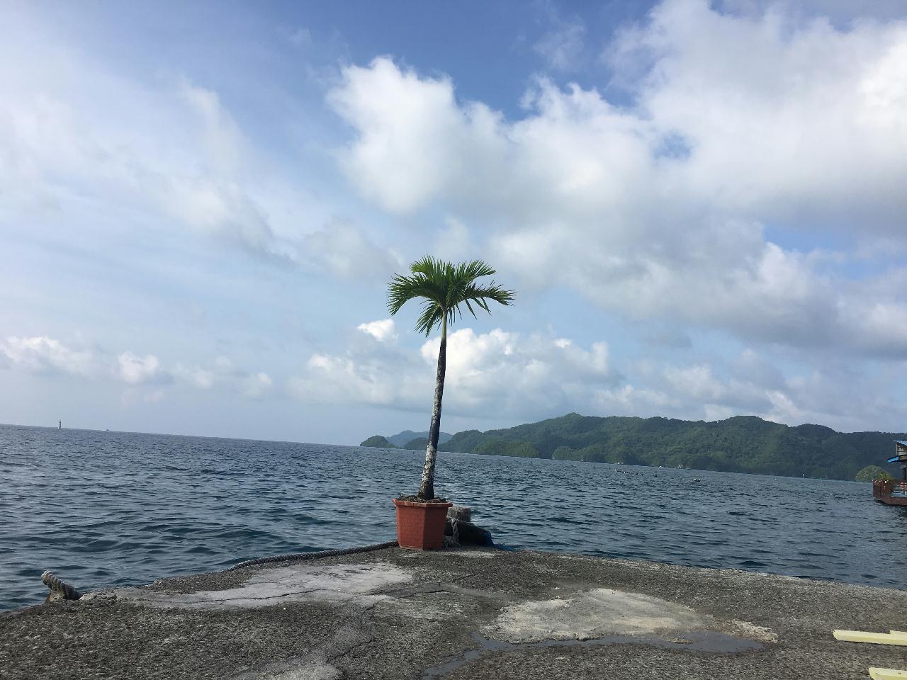 2018.07.29 Palau#1-1