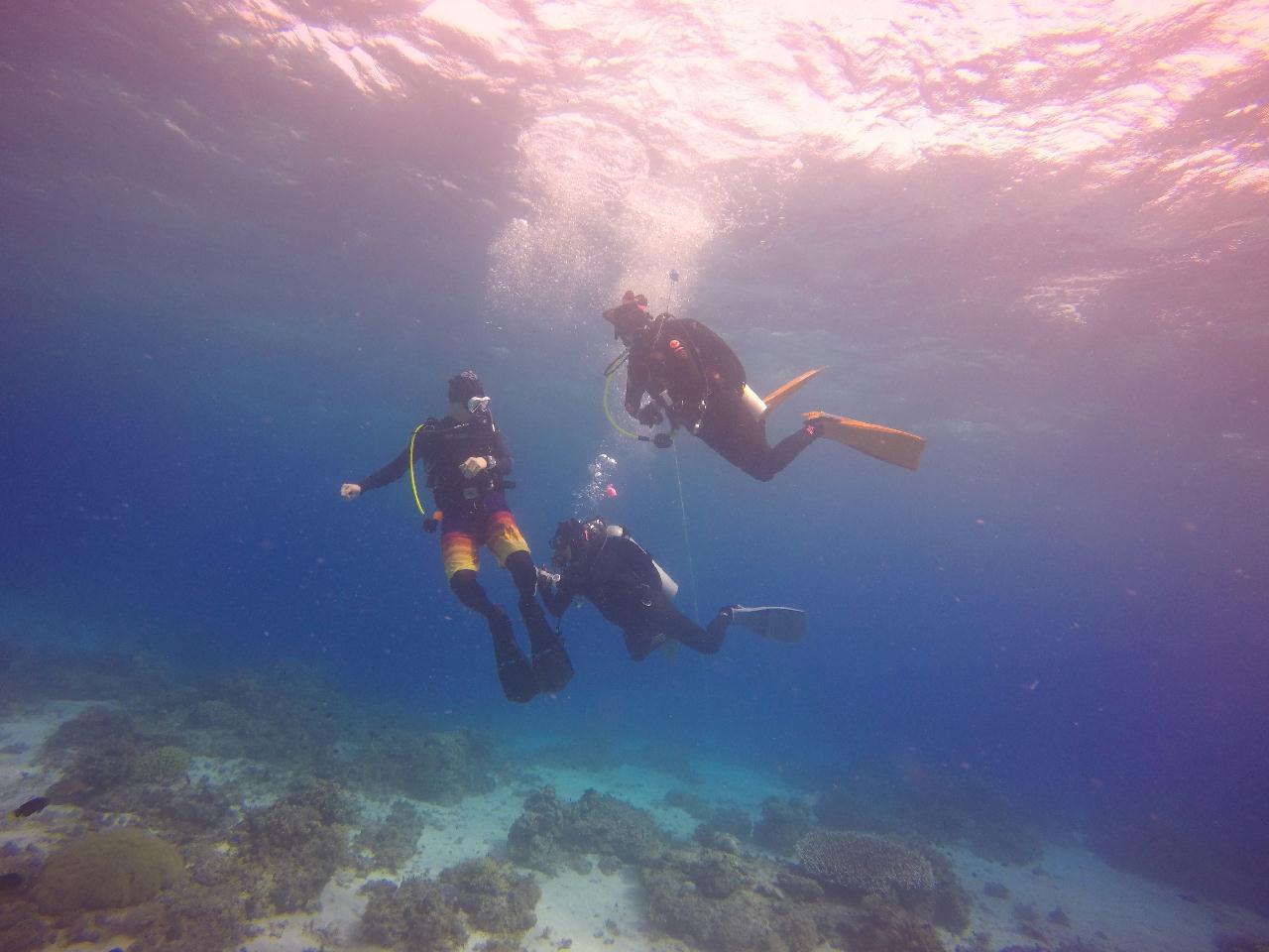 세부 보홀 - 팡라오-Doljo