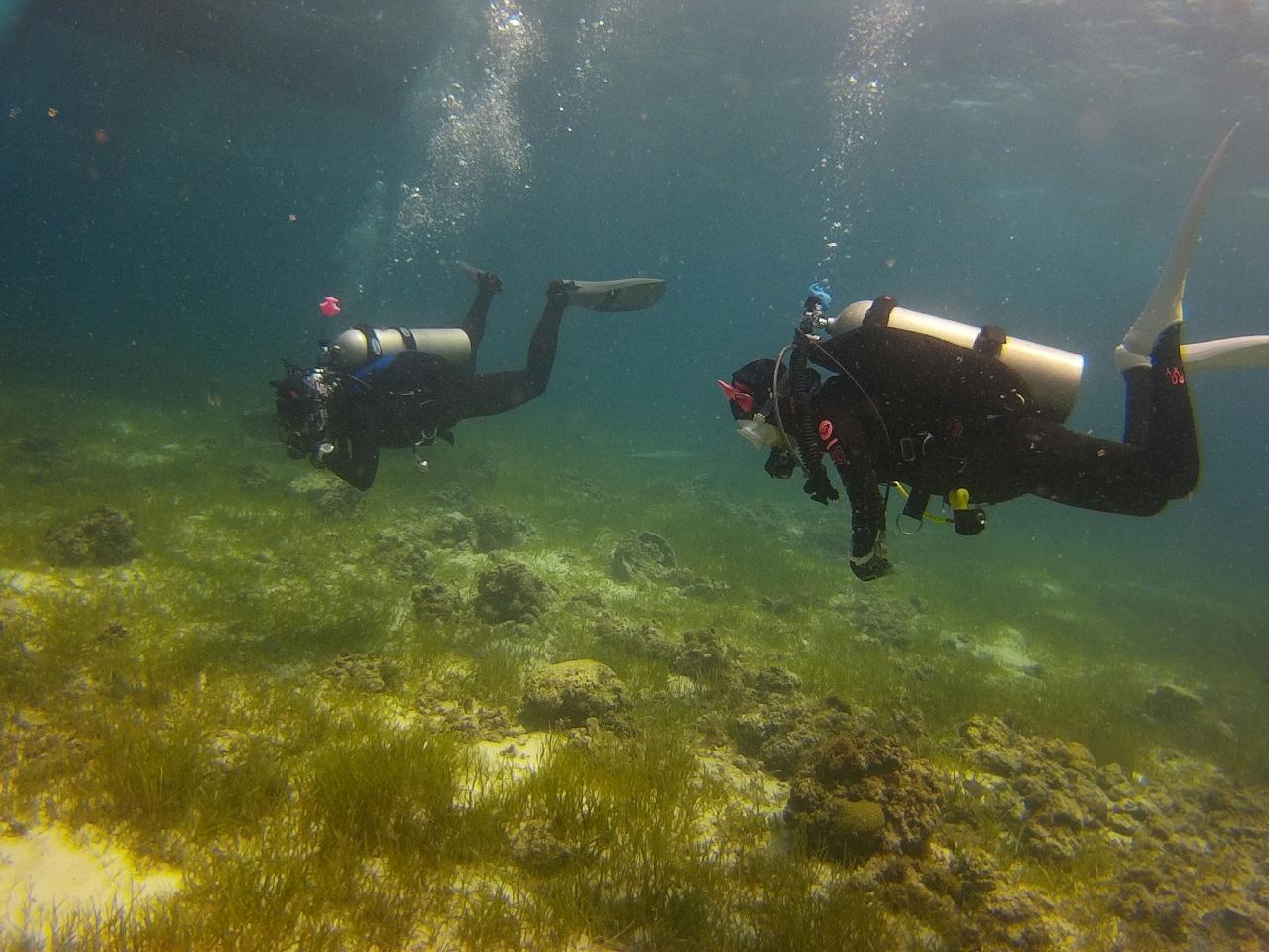 세부 막탄 - 씨워커