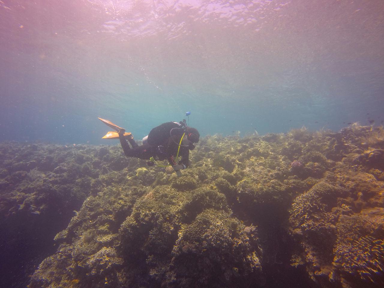 세부 보홀 - 발리카삭 까떼뜨랄