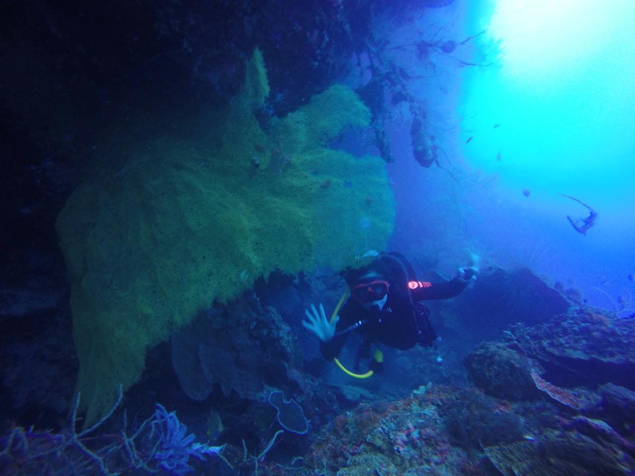 세부 보홀 - 발리카삭 까떼뜨랄