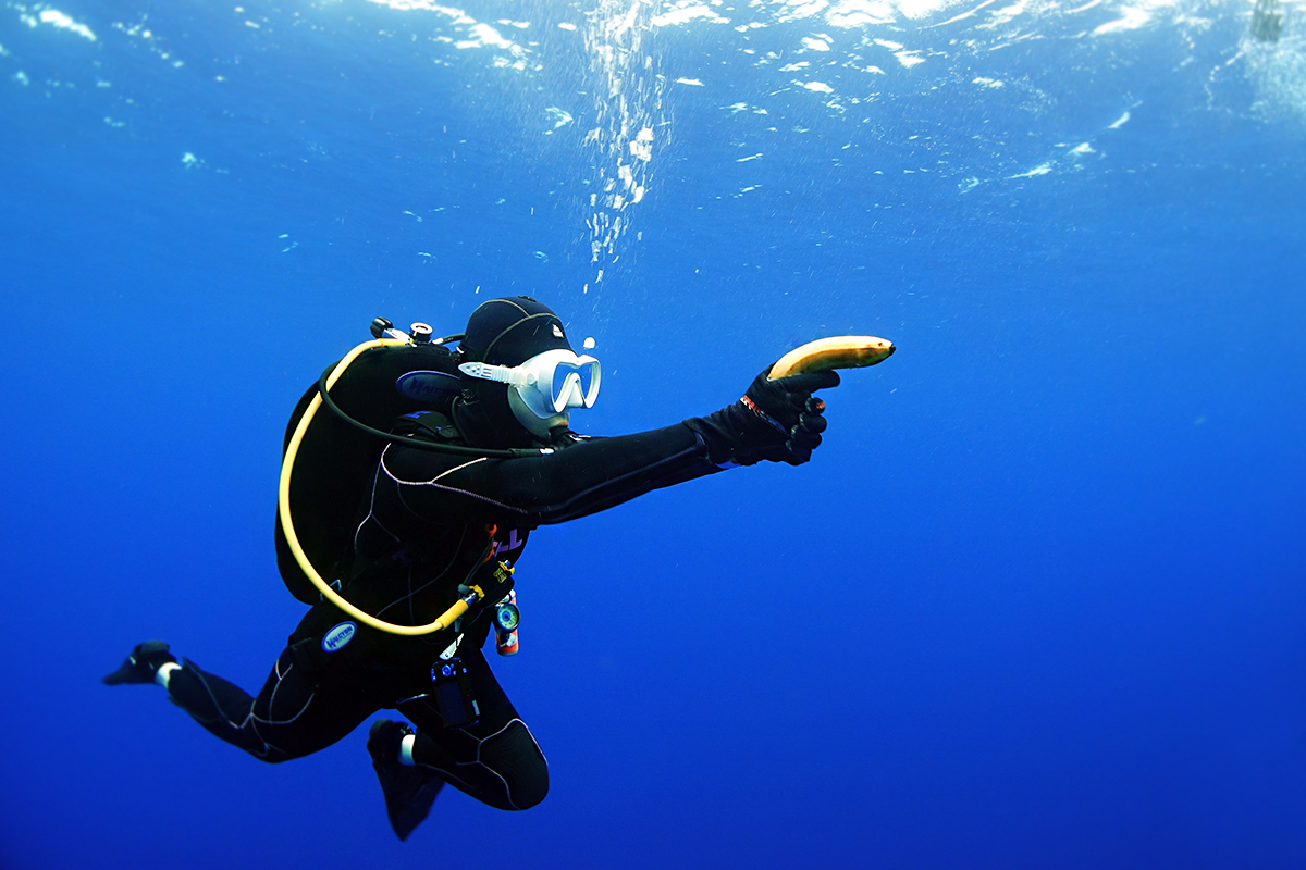 요나구니 - 이리자키