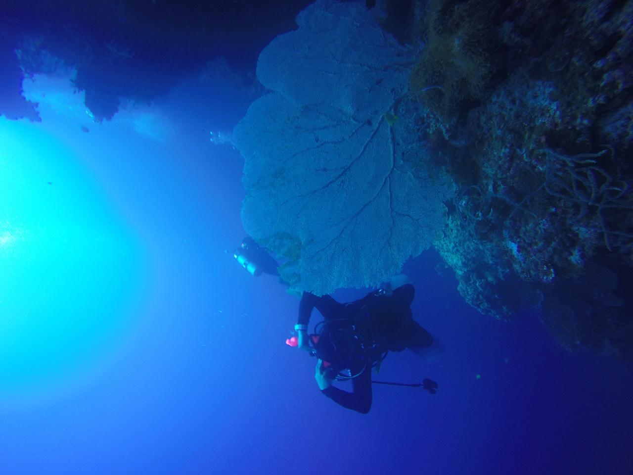 세부 보홀 - 발리카삭 까떼뜨랄