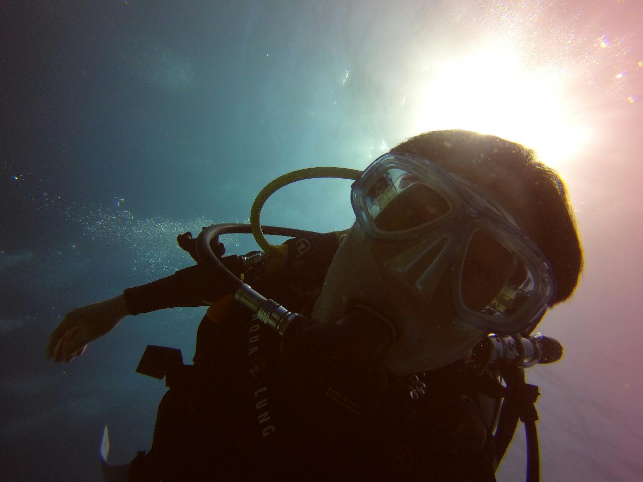 발리카샥, 산호,거북