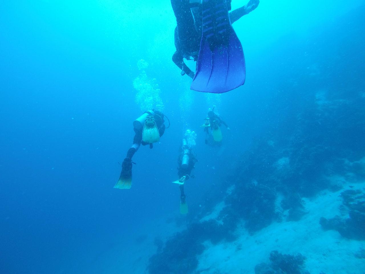 젊다모 보홀투어 2-2