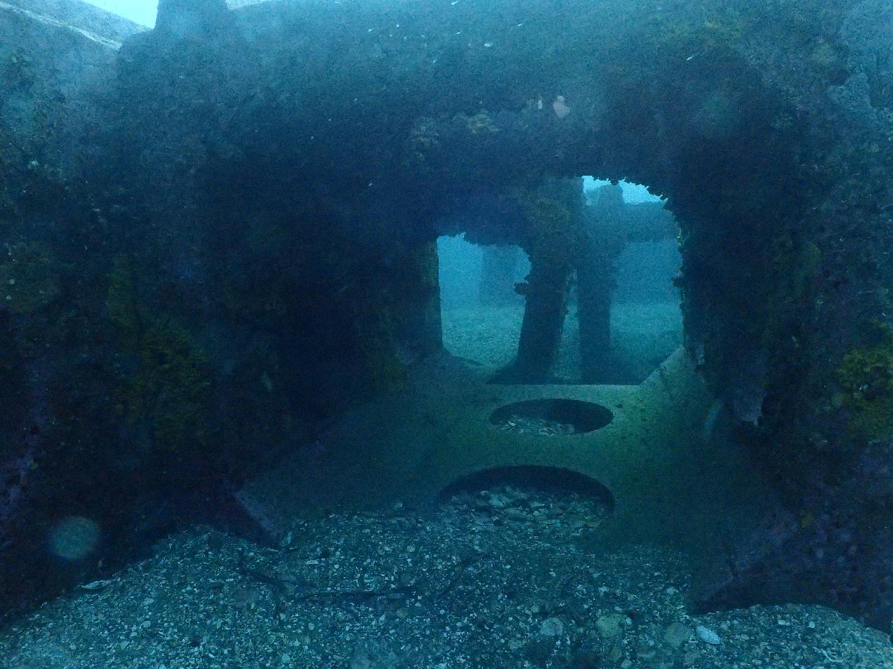 백만년만에 겨울 다이빙