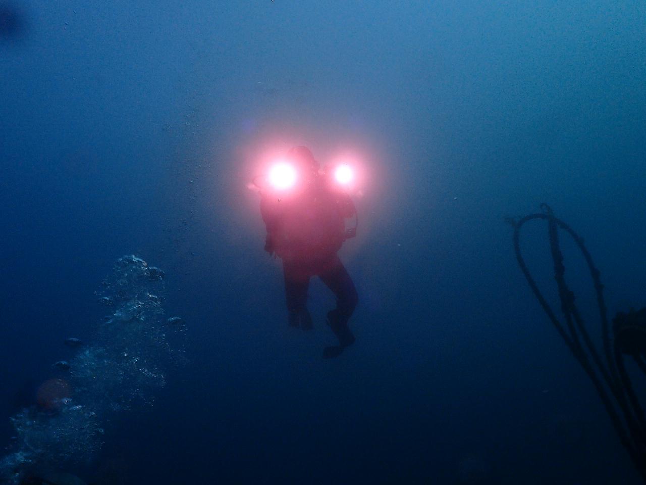 백만년만에 겨울 다이빙