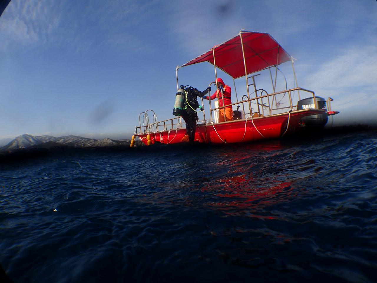 백만년만에 겨울 다이빙
