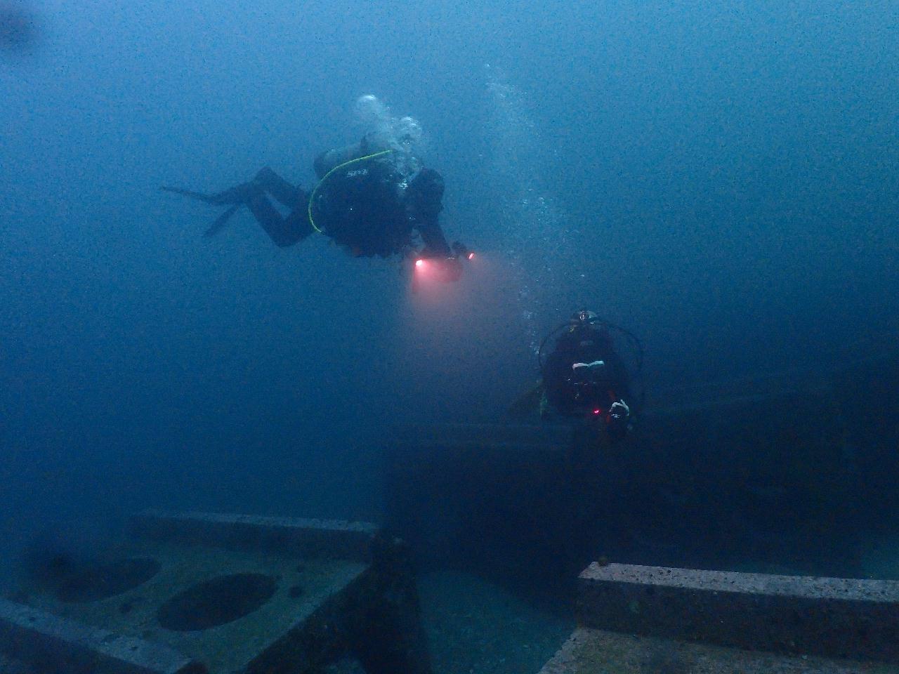 백만년만에 겨울 다이빙