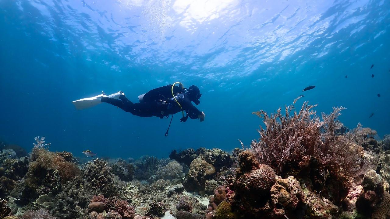 Rescue diver 시나리오 전 다이빙