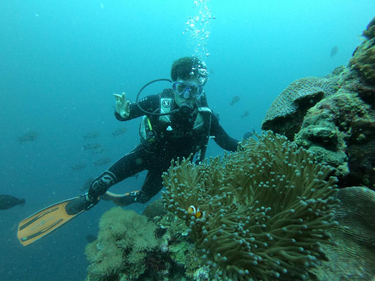 어종에 관심을 가짐