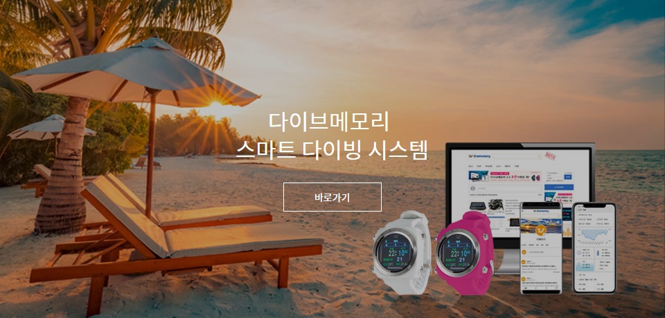 다이브메모리 공식 블로그 오픈