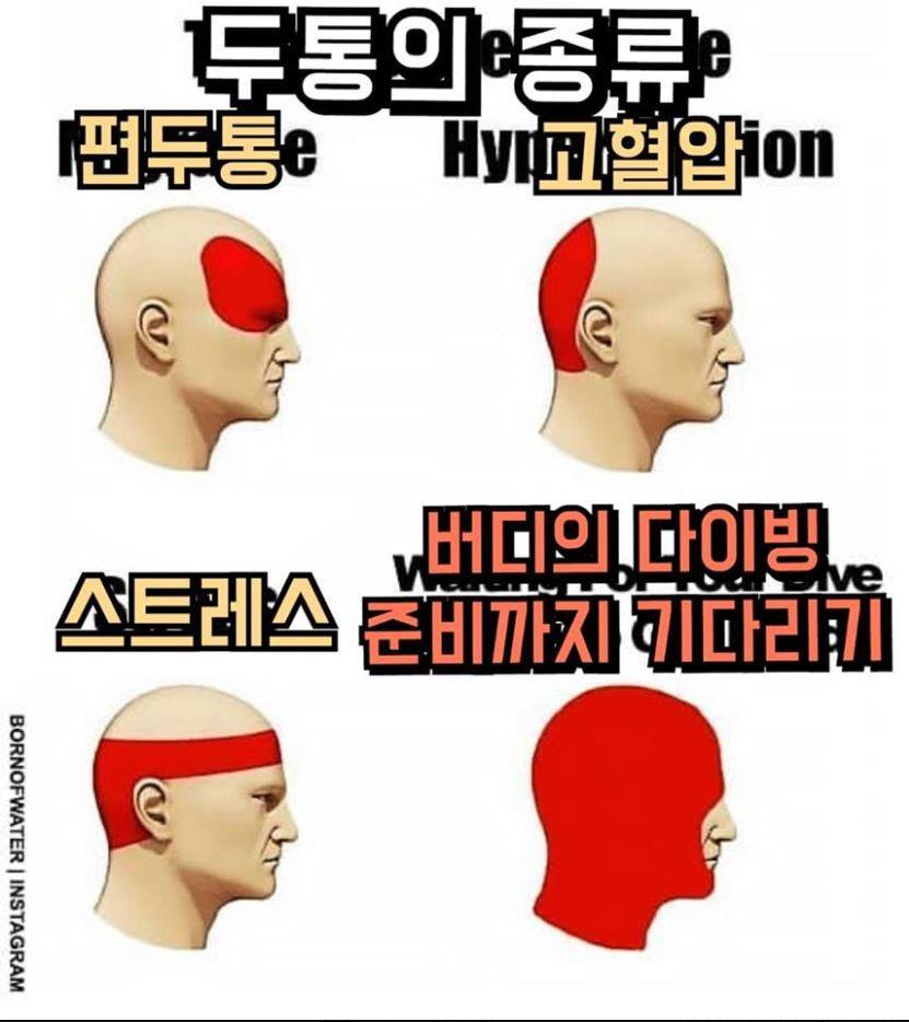 두통의 종류