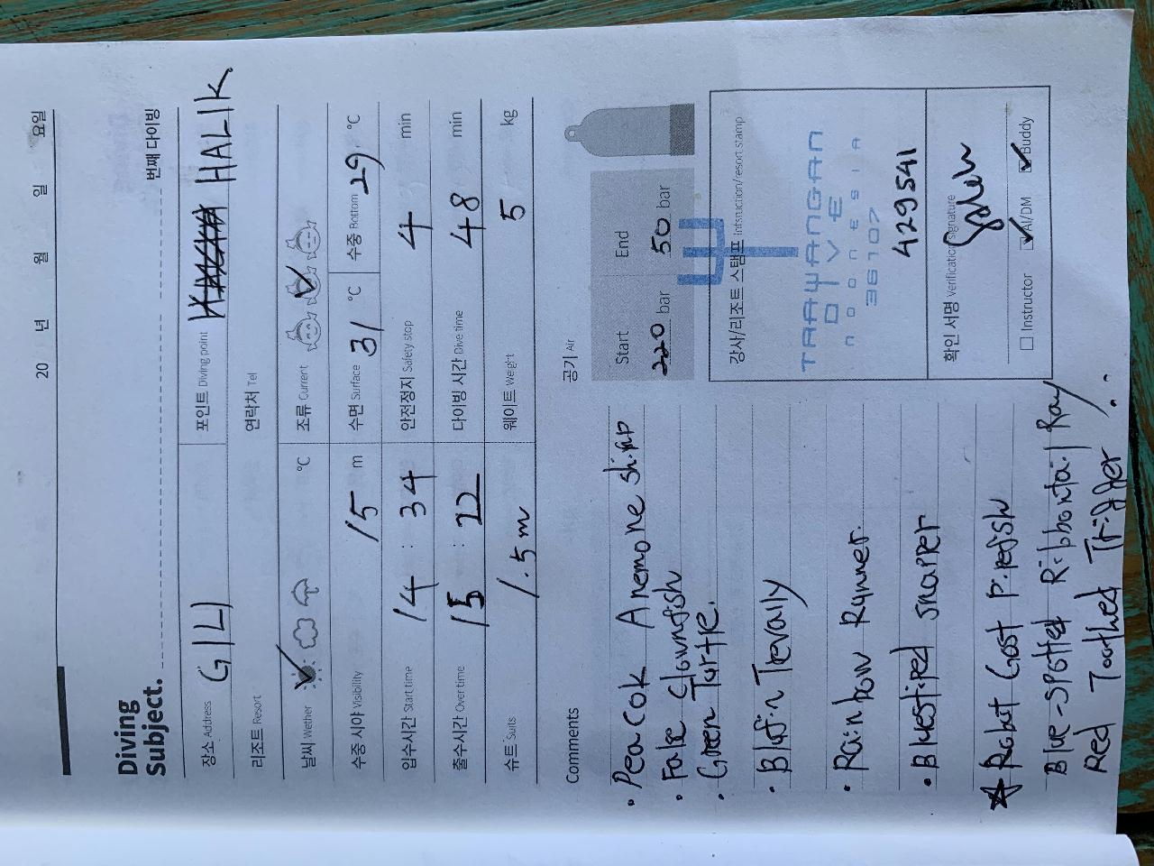 Gili trawangan - Halik