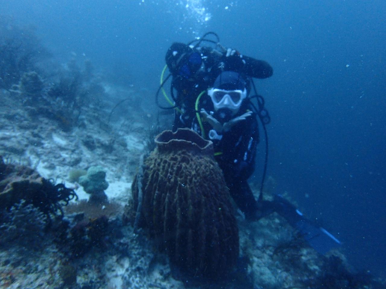 Coral Reef (w/May, TH, JY)