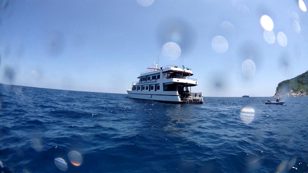 Similan Liveaboard #3.Three trees