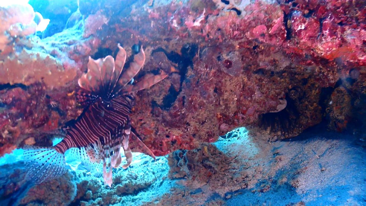 Similan Liveaboard #1. West of Eden